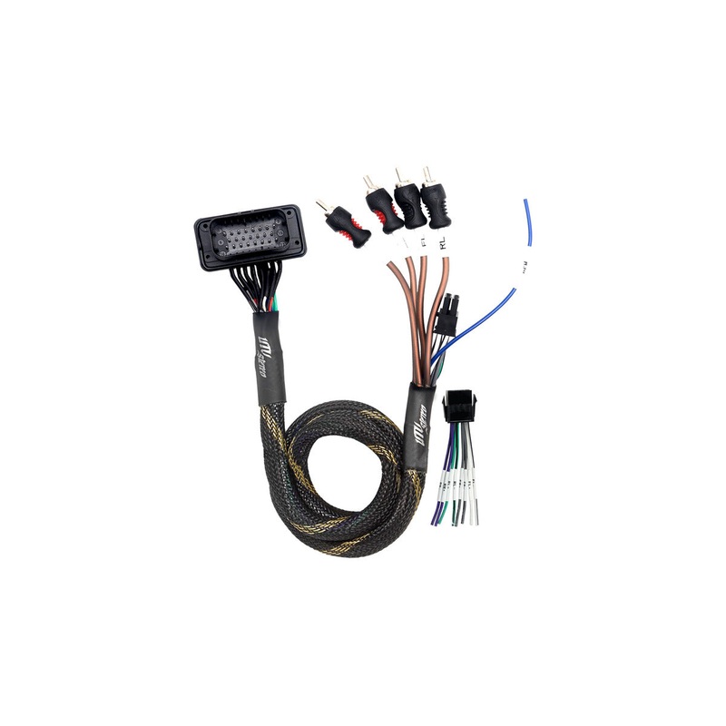 UTV Stereo Polaris RZR Pro Series Ride Command Front & Rear RCA Output + Speaker Wire & Remote