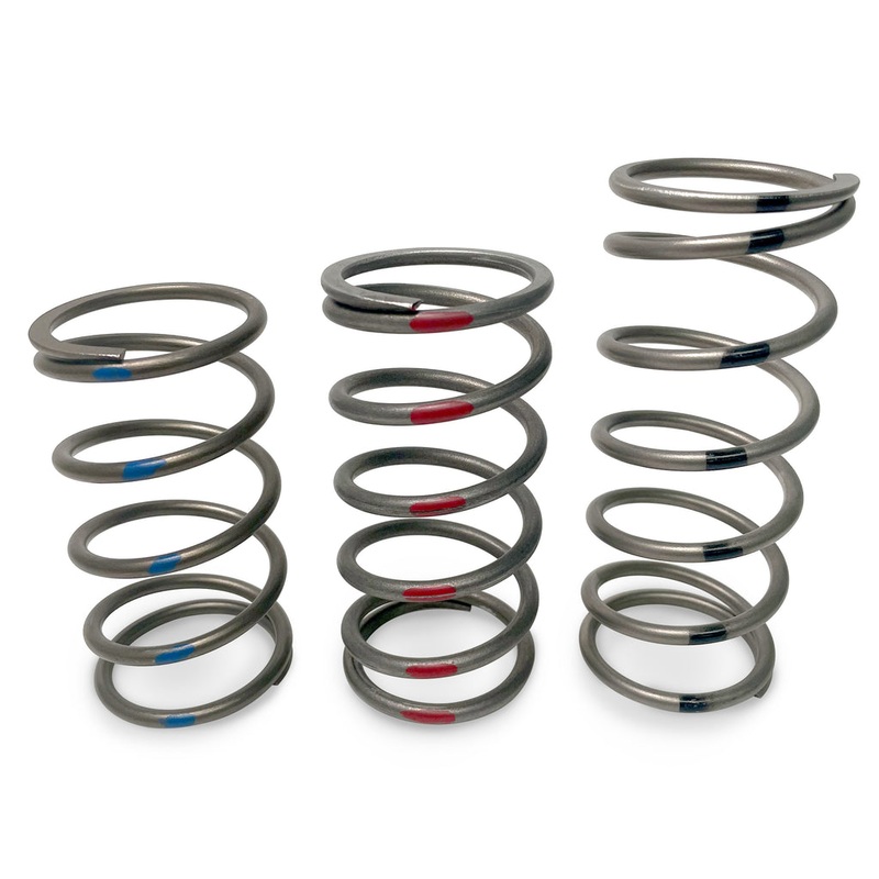 EVO TAPP Primary Clutch Springs