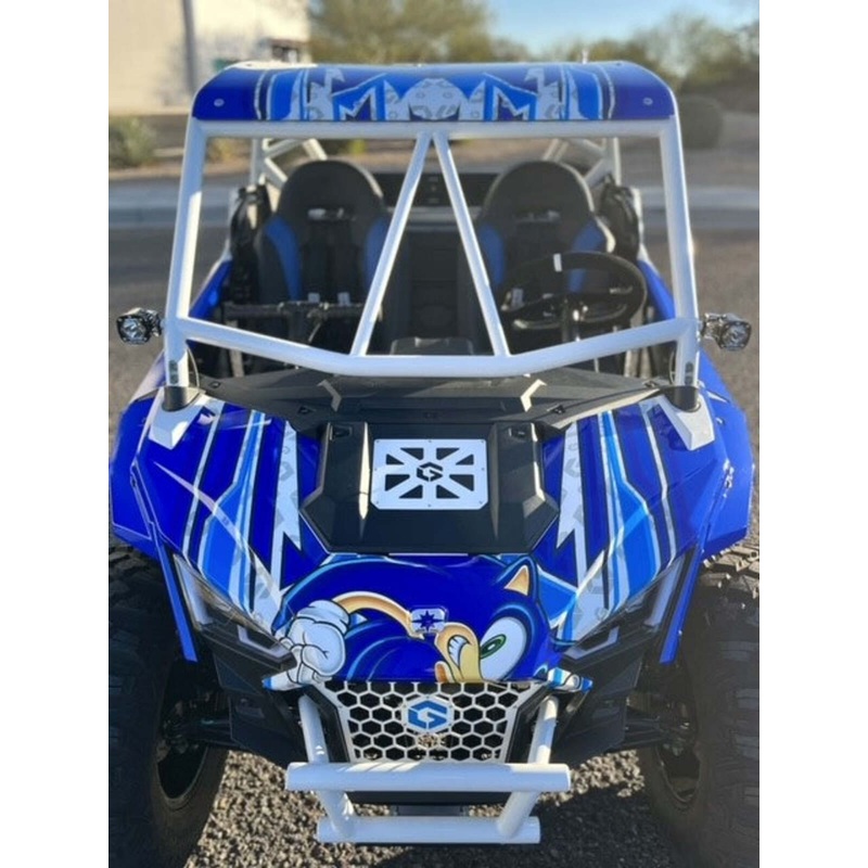 Geiser Performance Polaris RZR 200 Cage