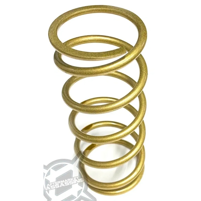 Aftermarket Assassins Polaris P90X Secondary Springs