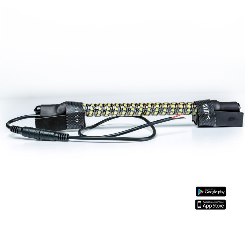5150 Whips Dome Light|RCA|187